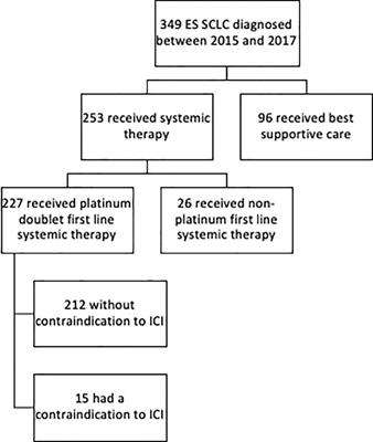 Real-world eligibility for platinum doublet plus immune checkpoint inhibitors in extensive-stage small-cell lung cancer